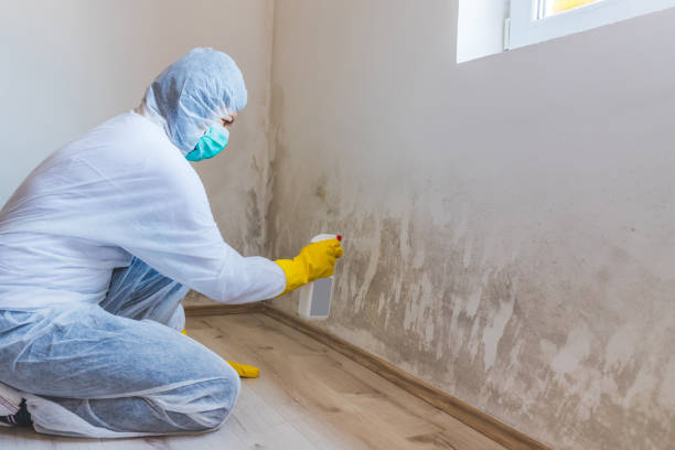 Mold Remediation specialist working in Euless
